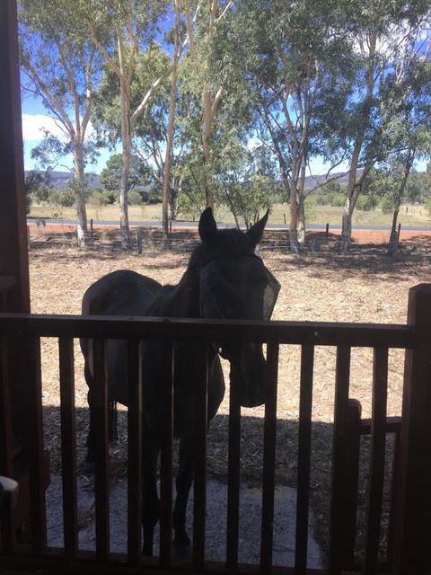 Thie My Chree Retreat - Accommodation Gold Coast 3