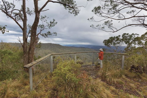 Toms Cabin - Accommodation Gold Coast 2
