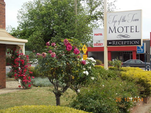 Top Of The Town Motel - Accommodation Gold Coast 3