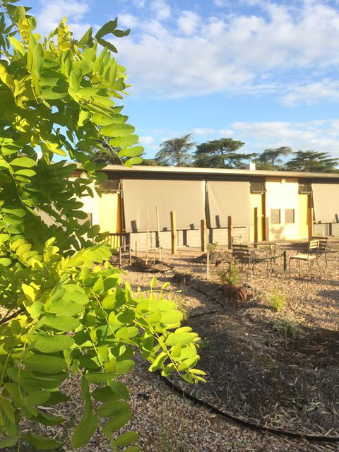 Tread Harcourt - Accommodation Gold Coast 0