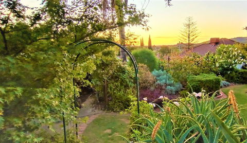Treetops Escape - Gold Coast 4U 1