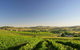 Turners Vineyard Motel - thumb 0