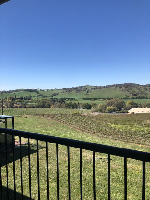 Turners Vineyard Motel - Accommodation Gold Coast 2