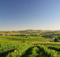 Turners Vineyard Motel - Accommodation Gold Coast