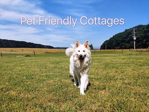 Twelve Apostles Motel & Country Retreat - Gold Coast 4U 2