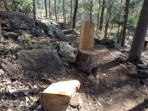 Twilight Grove Farm - Gold Coast 4U 3