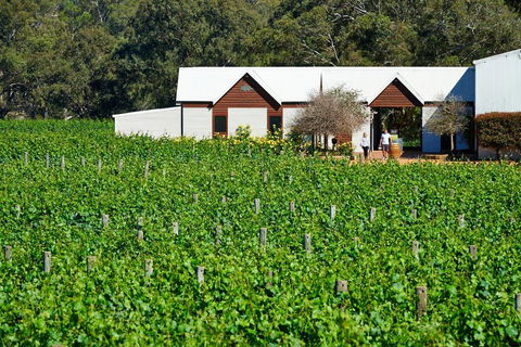 Upper Reach Spa Cottage - Accommodation Gold Coast 0