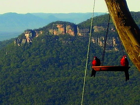 Valley Of The Waters B&B - Gold Coast 4U 3