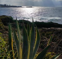 Ven  Marks Place - Gold Coast 4U