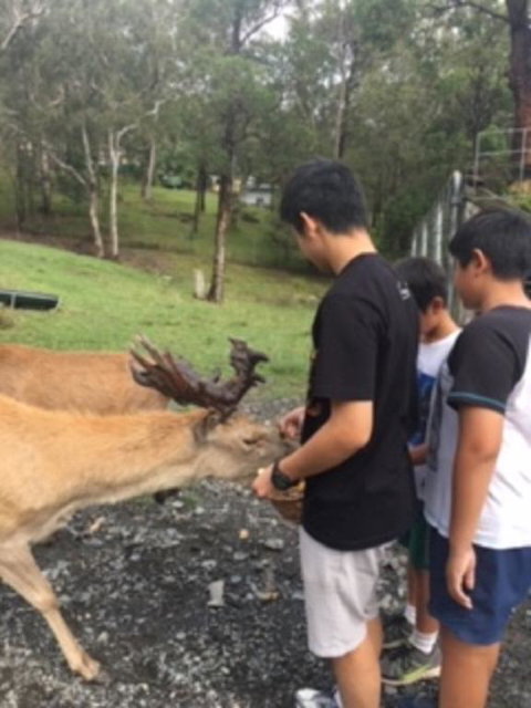 Villa Cervi Property - Accommodation Gold Coast 3