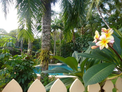 Villa Marine Holiday Apartments Cairns - Accommodation Gold Coast 1
