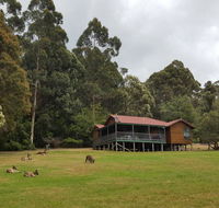 Walpole Wilderness Resort - Accommodation Gold Coast