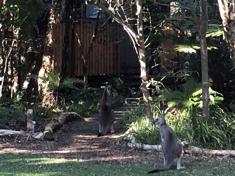 Wanderers Retreat - Gold Coast 4U 2