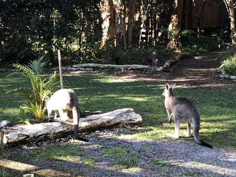 Wanderers Retreat - Gold Coast 4U 3