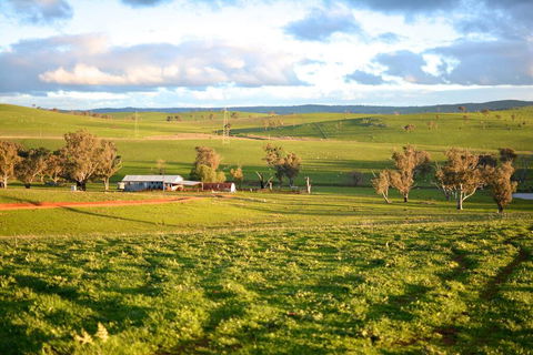 Wantana Cottage Farmstay - 1 Gold Coast 0