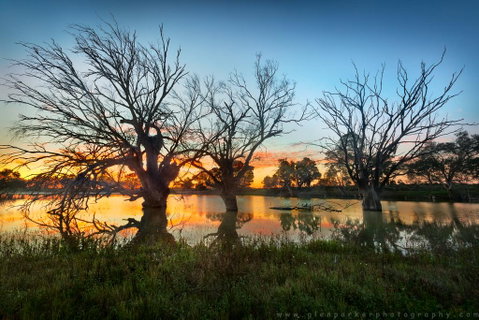 Warrawong On The Darling Wilcannia - Accommodation Gold Coast 3