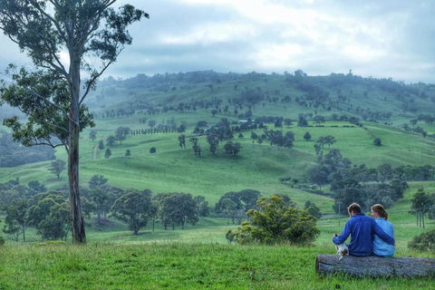 Waterfall Way Farmstay - Gold Coast 4U 2