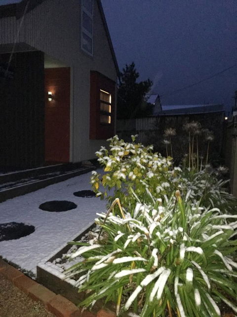Daydream Cottage - Accommodation Gold Coast 17