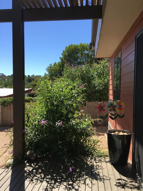 Daydream Cottage - Accommodation Gold Coast 10