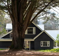 The Orchard - Accommodation Gold Coast