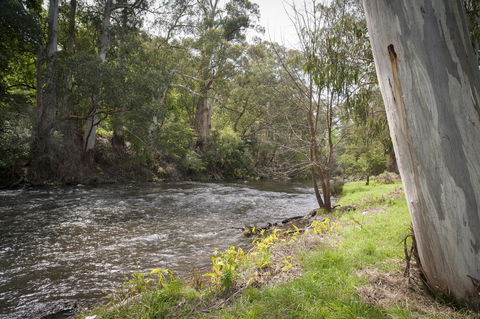Oscar\'s On The Yarra - Gold Coast 4U 23