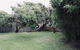 Red Ceder Cottage - Great Ocean Road - Port Campbell - thumb 24
