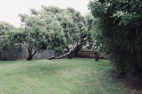 Red Ceder Cottage - Great Ocean Road - Port Campbell - Accommodation Gold Coast 24