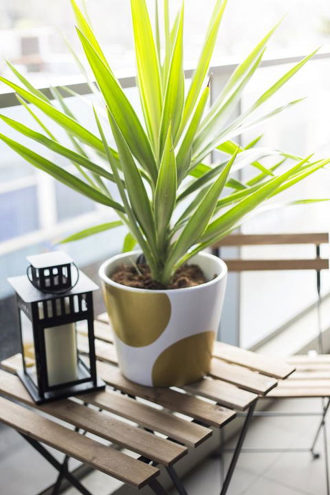 Complete Host 50 Claremont St Apartments - Gold Coast 4U 6