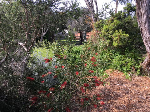 Andrew's On Topaz - Accommodation Gold Coast 1