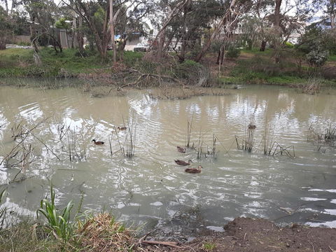 Elevated Holiday House Overlooks Tranquil Wetlands - Accommodation Gold Coast 12