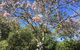 Moonah Woodlands Resort - thumb 36
