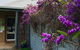 Grampians Pomonal Cottages - thumb 13