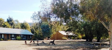 Grampians Pomonal Cottages - Gold Coast 4U 6