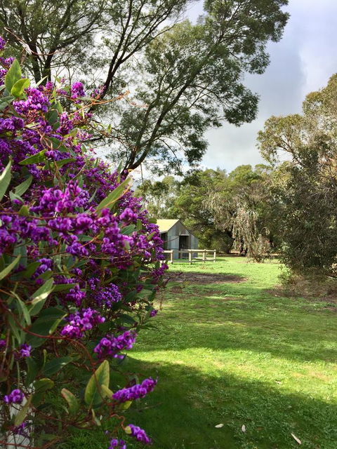 Grampians Pomonal Cottages - Gold Coast 4U 21