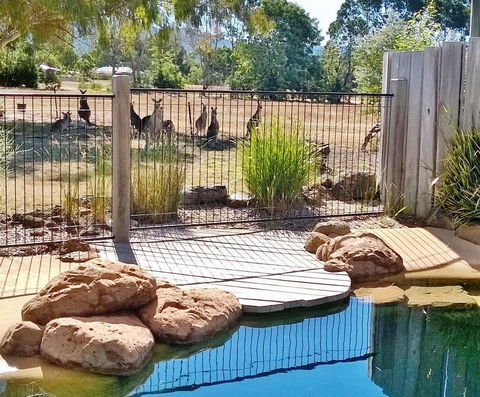Grampians Pomonal Cottages - Gold Coast 4U 24
