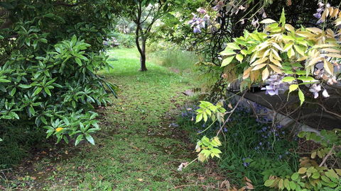 Lorelei Bed & Breakfast - Accommodation Gold Coast 10
