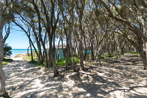 Perfect Blairgowrie Beach House - Accommodation Gold Coast 17