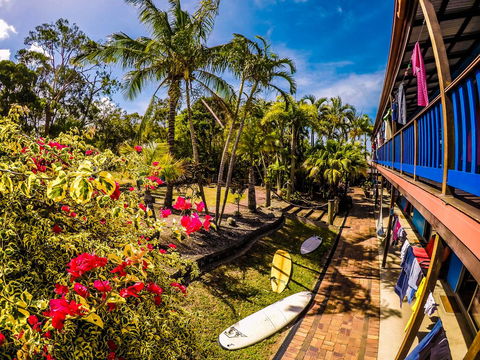 Cool Bananas Backpackers - Gold Coast 4U 17