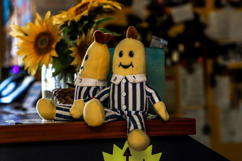 Cool Bananas Backpackers - Gold Coast 4U 30
