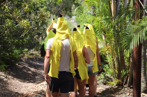 Cool Bananas Backpackers - Gold Coast 4U 19
