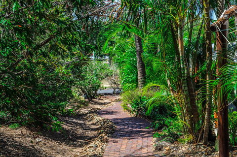 Cool Bananas Backpackers - Gold Coast 4U 15