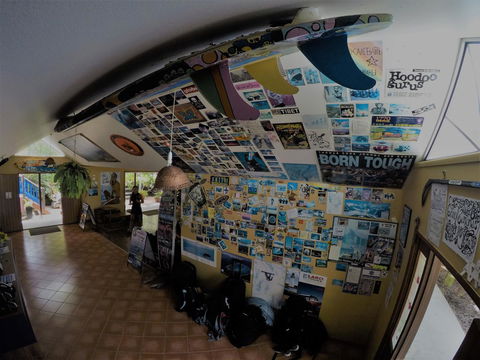 Cool Bananas Backpackers - Gold Coast 4U 31