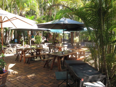 Cool Bananas Backpackers - Gold Coast 4U 16