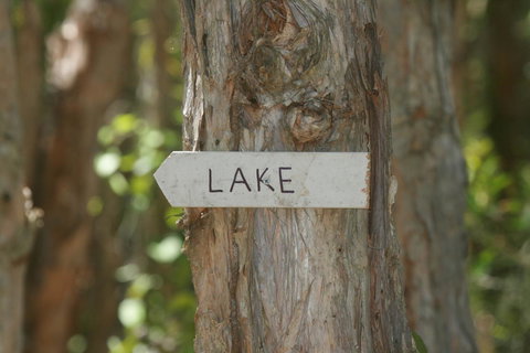 Lake Weyba Noosa Lodge & Kangaroos - Accommodation Gold Coast 36