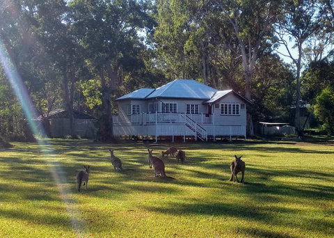 Lake Weyba Noosa Lodge & Kangaroos - Accommodation Gold Coast 0