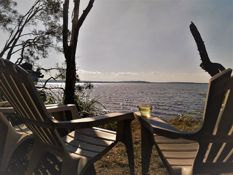 Lake Weyba Noosa Lodge & Kangaroos - Accommodation Gold Coast 3