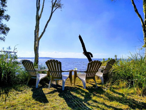 Lake Weyba Noosa Lodge & Kangaroos - Accommodation Gold Coast 44