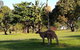 Lake Weyba Noosa Lodge & Kangaroos - thumb 35