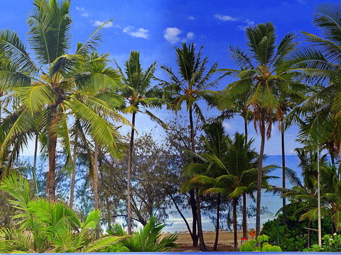 By The Sea Port Douglas - Accommodation Gold Coast 3
