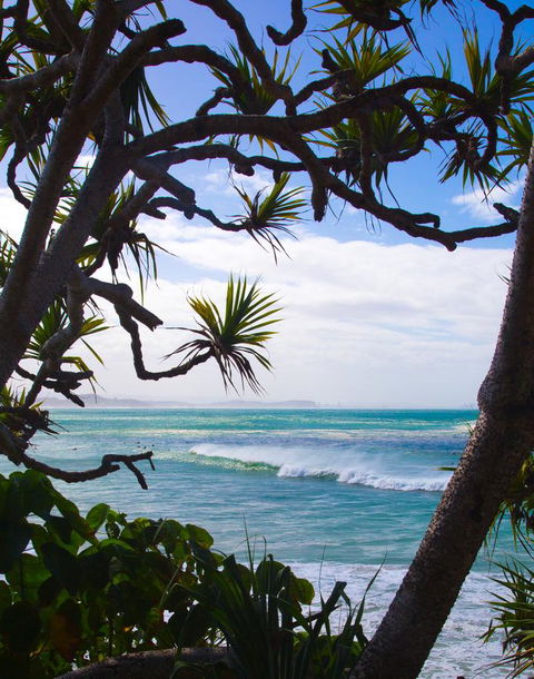 Rainbow Bay Backpackers - 1 Gold Coast 25
